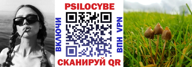 Галлюциногенные грибы Magic Shrooms  Купить где  Макарьев 